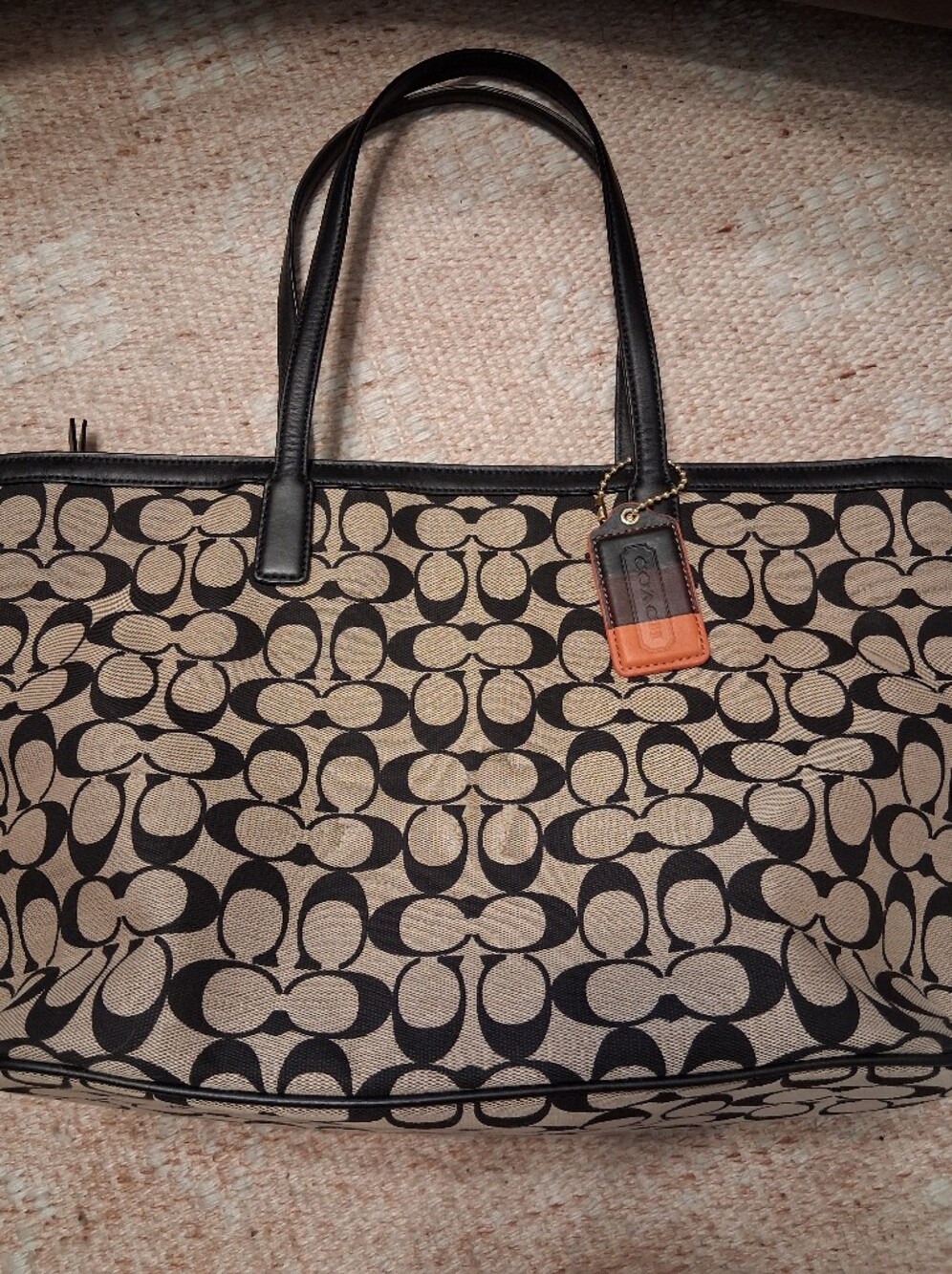 Coach Signature Canvas Bag